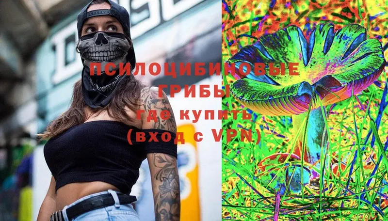 Галлюциногенные грибы Psilocybine cubensis Краснообск